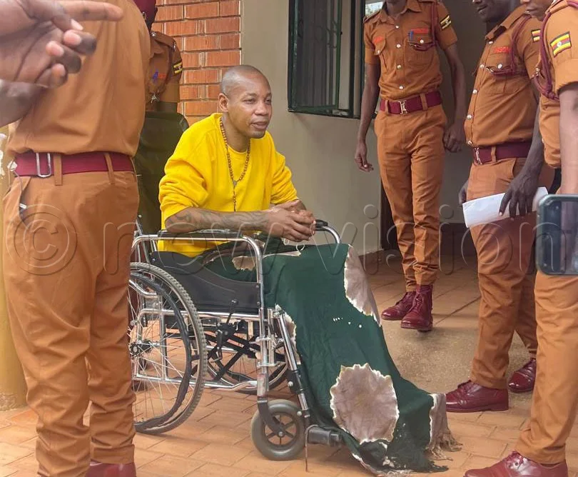 Please let me out, Brian White begs judge