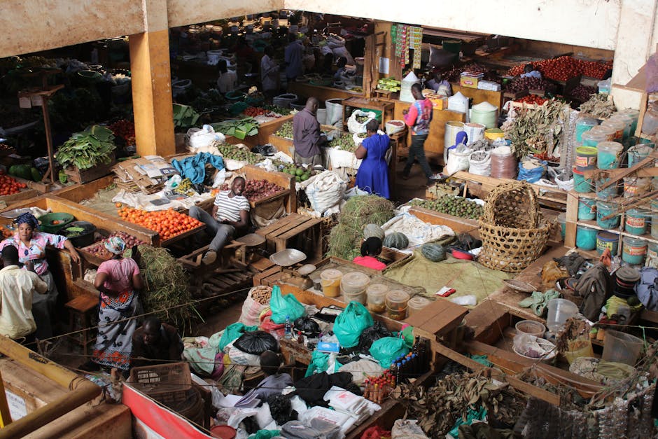 Government Seeks Bigger Grain Export Market