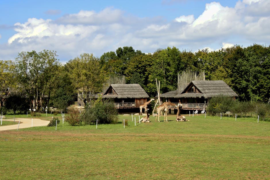 Spending the Night in a Safari-Style Lodge at Chester Zoo