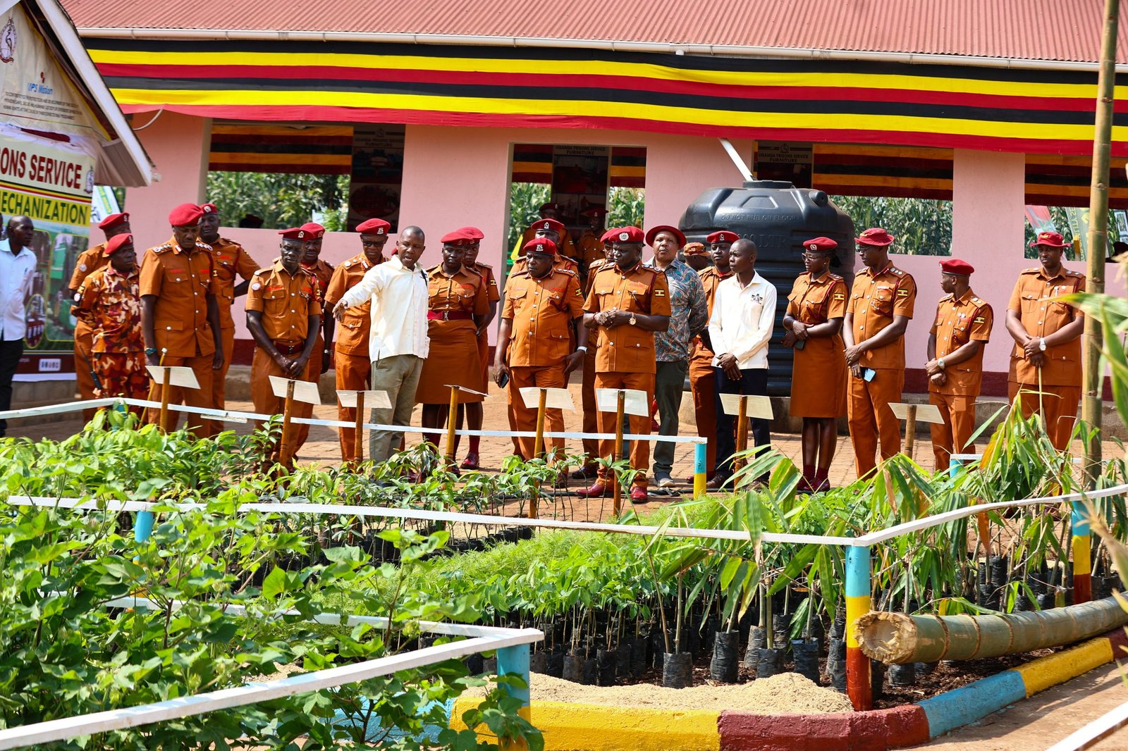 Uganda Prisons Service launches farmer field schools to equip farmers with practical agricultural skills