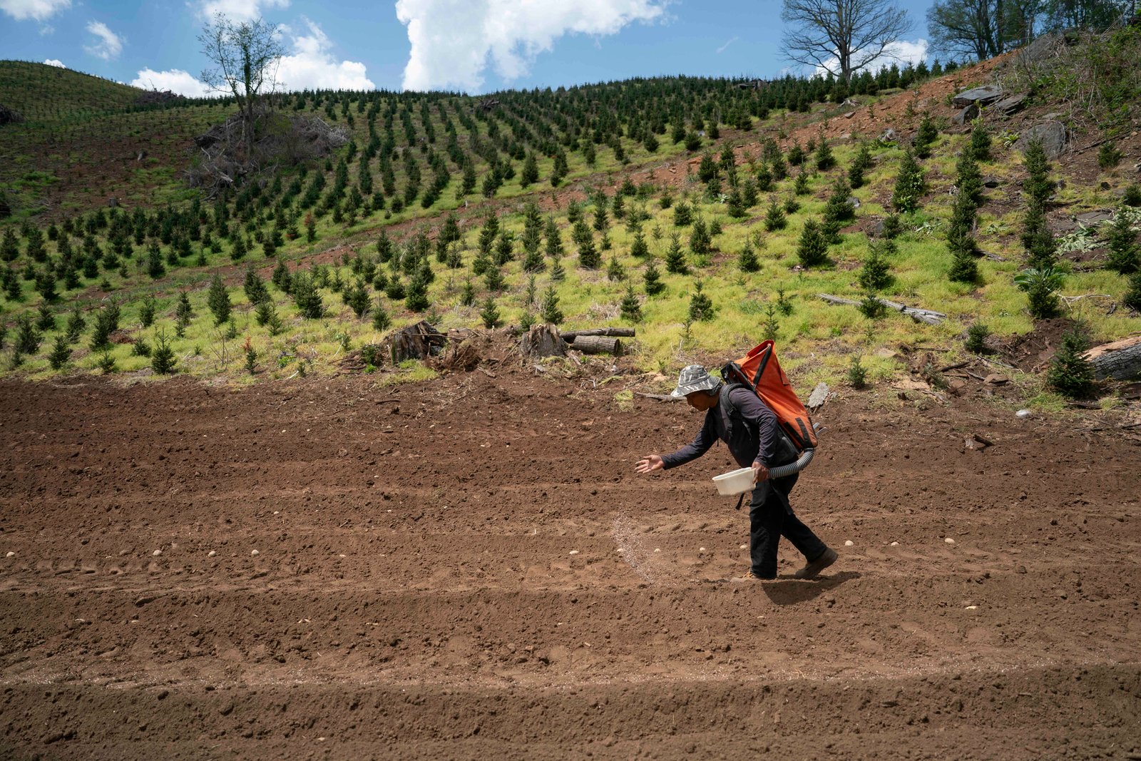How a fertilizer shortage caused by the Iran war could affect U.S. food prices