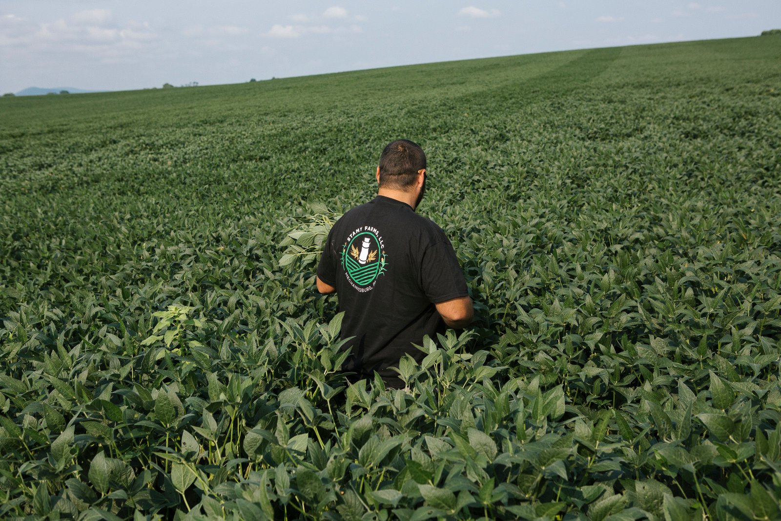 Iran War and Tariffs Are Costing Farmers. Will Republicans Pay in November?