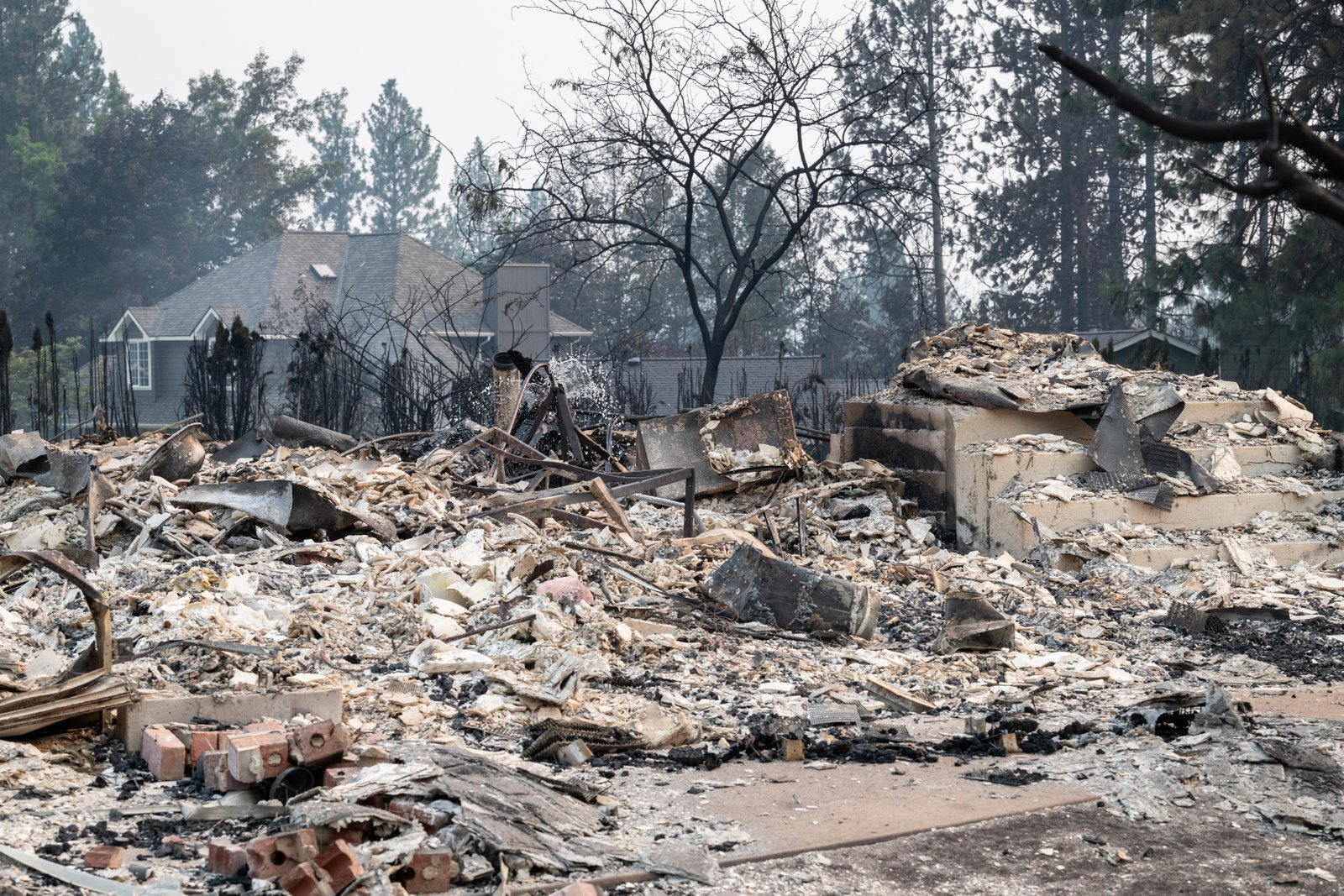 Authorities arrest an arson suspect in connection with wildfires in Spokane