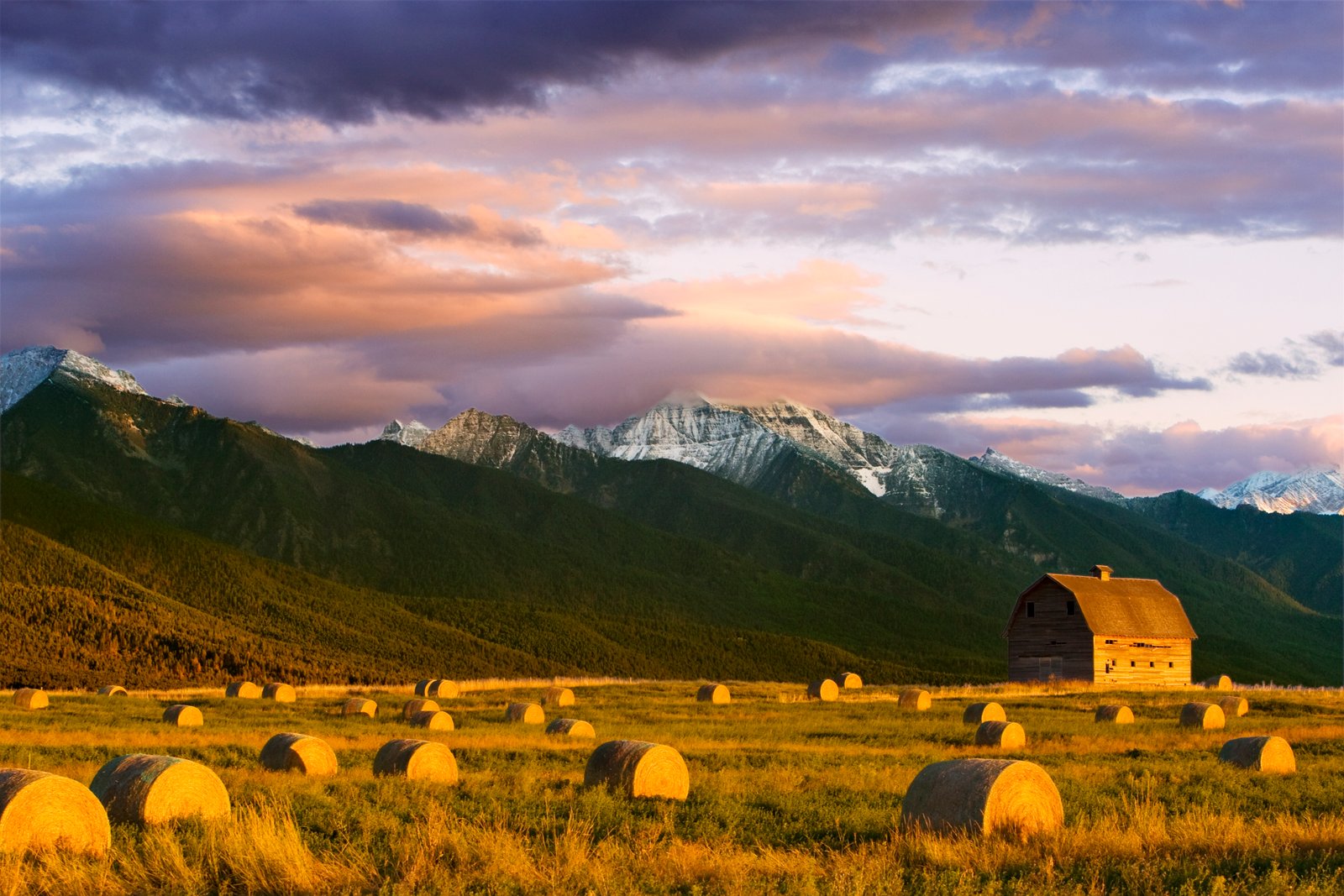 Montana Farmers Say Geopolitics Should Stay Out of Grain Markets