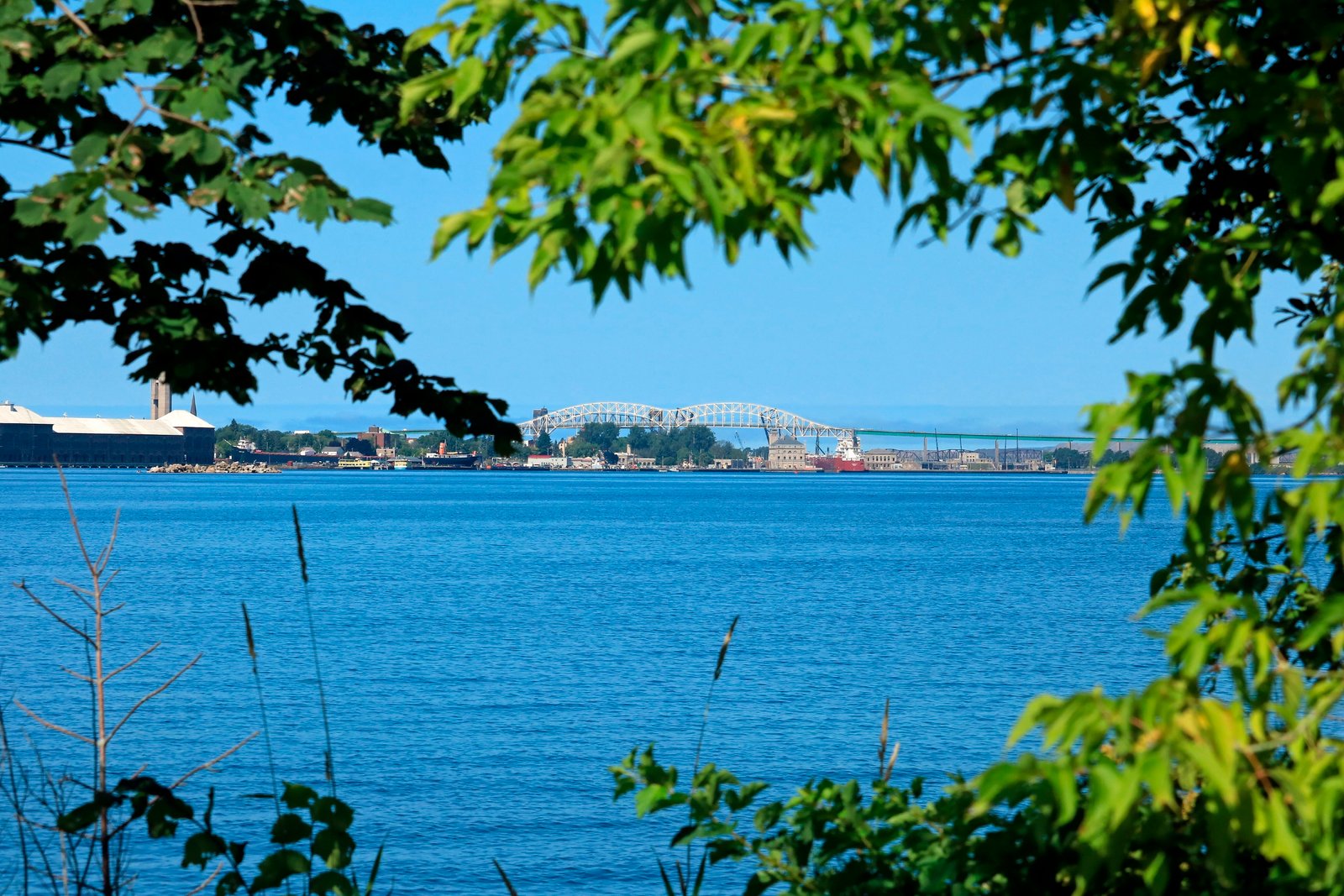 Tariff Battles Loom Over Michigan Border Town, Casting Uncertainty on Midterm Voter Sentiment